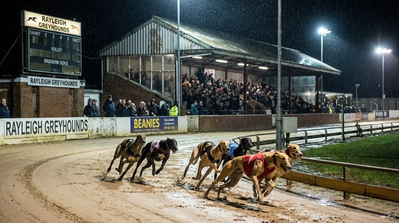 Greyhound racing at Crayford Stadium, tight-bend London track under lights
