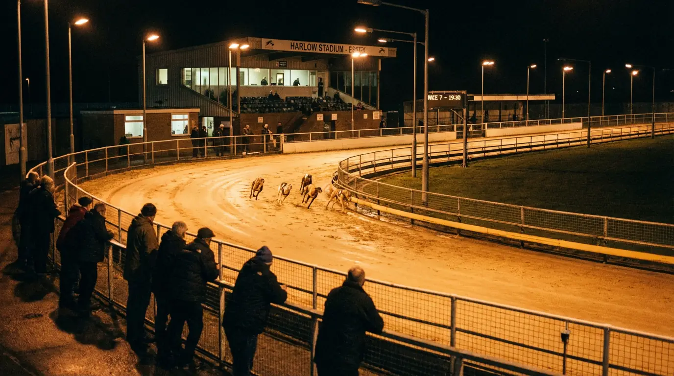 Greyhound racing at Harlow Stadium, evening card in Essex