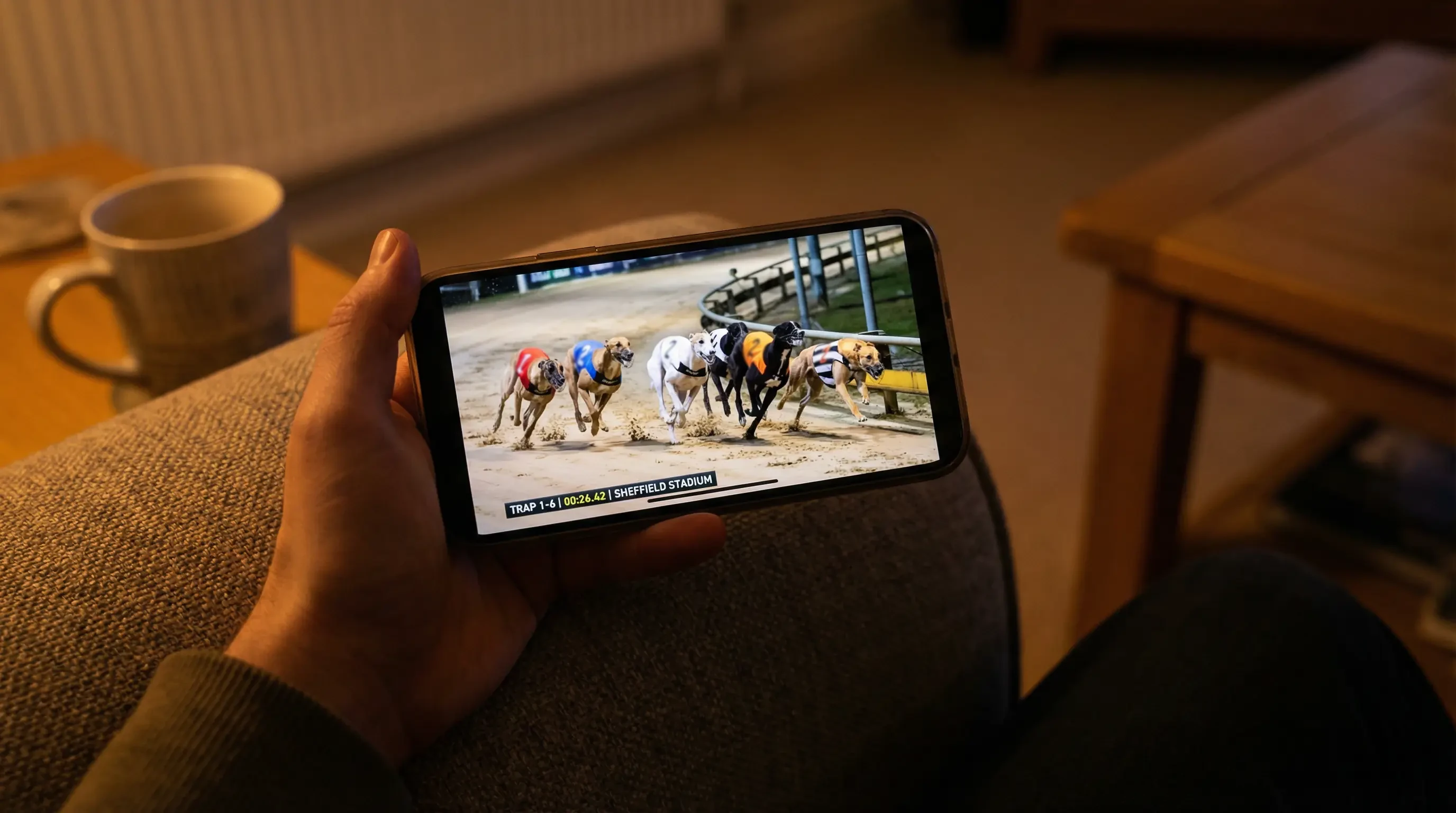 Smartphone screen showing a live greyhound race stream from a UK bookmaker app with race data overlay