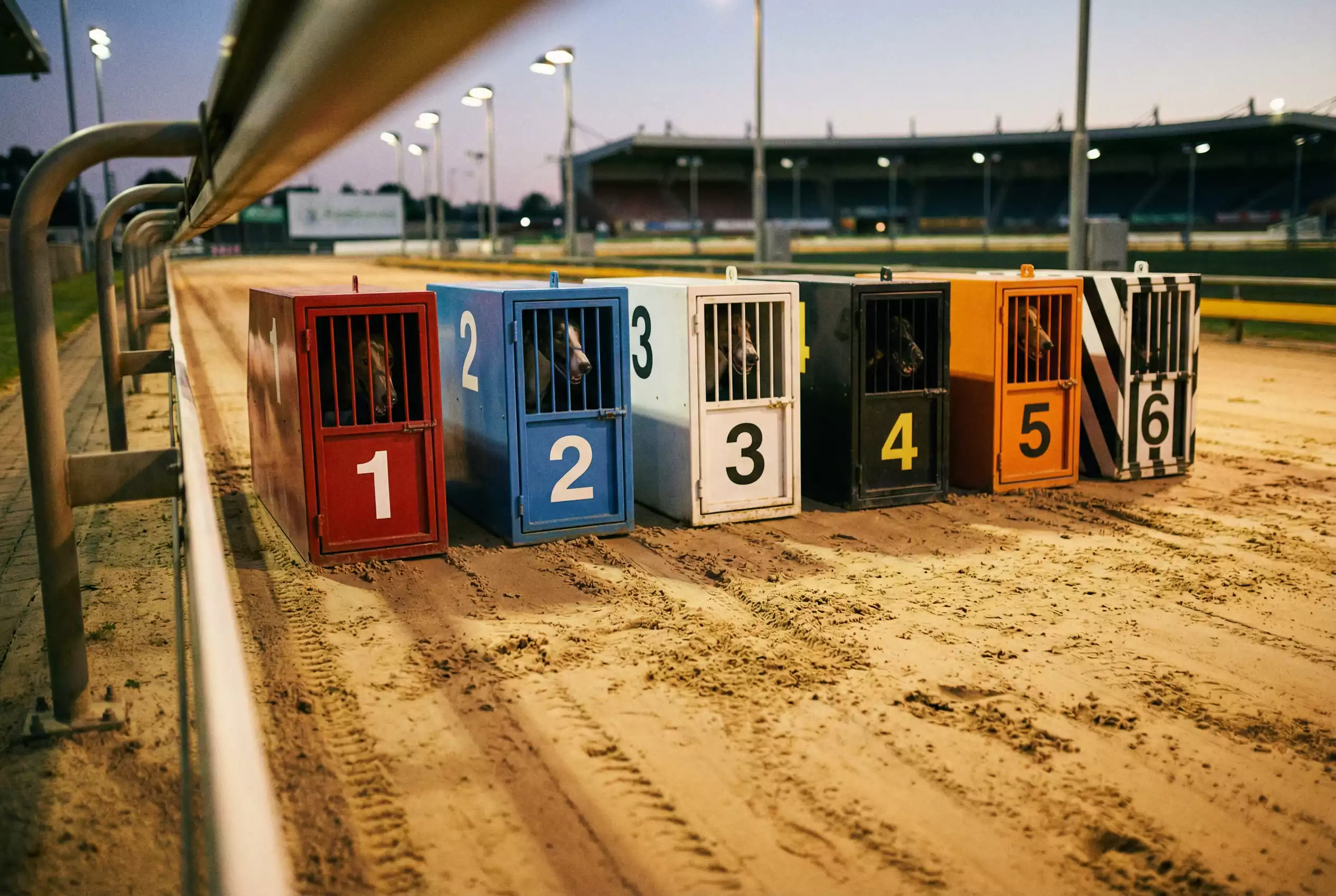 Six greyhound traps at a UK stadium, Trap 1 highlighted on the inside rail